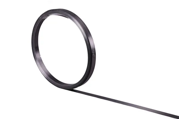 Углеродная ламель